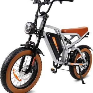 BEMMY Bicicleta Elétrica para Adultos 1000W(Pico de 1500W), Pneu Largo de 20x4”, Bicicleta Elétrica de Motocicleta de 7 Velocidades, Bateria de 48V 20.3A. A única Loja Autorizada "Bemmy-BR".